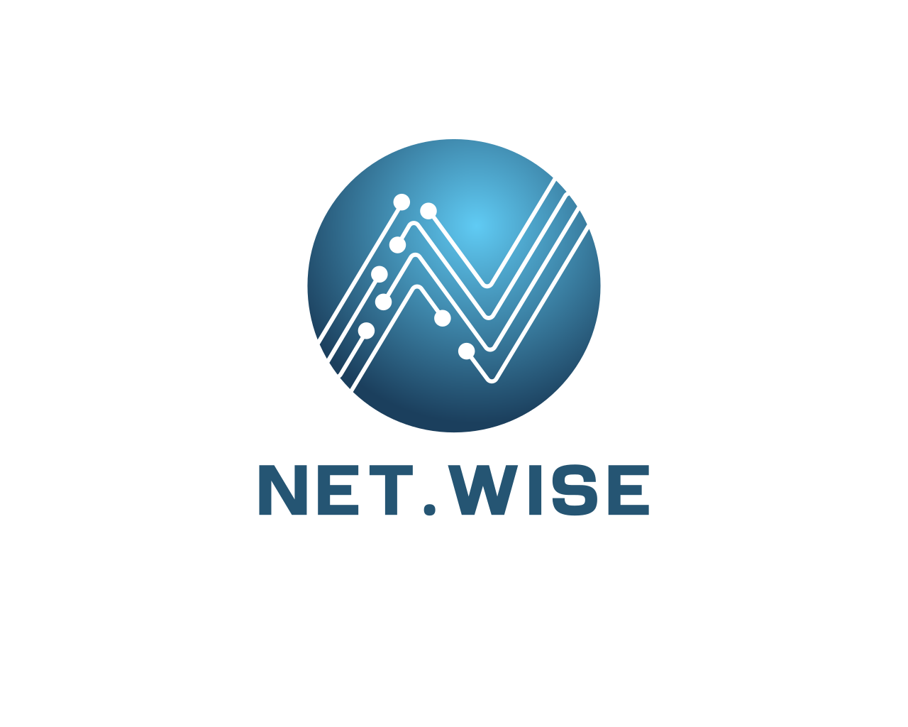 Net.Wise